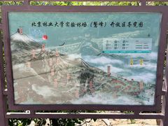 -北京鹫峰国家森林公园