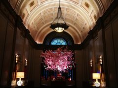 -上海和平饭店华懋阁 Cathay Room