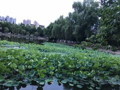 -西南交通大学(九里校区)