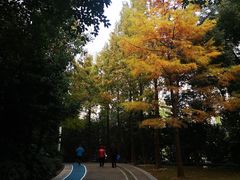 -苏州河梦清园环保主题公园