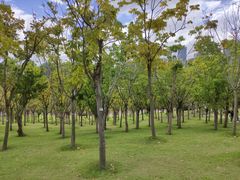 -牛岗山公园
