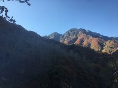 -终南山国家森林公园