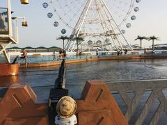 -秦皇岛乐岛海洋王国