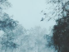 -重庆雨台山风景区