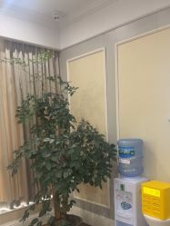 -美莱医疗美容医院