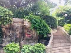 -九龙公园