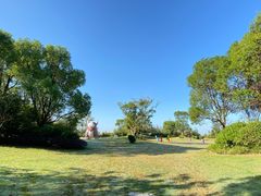 -上海崇明金茂凯悦酒店