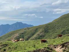 -灵山