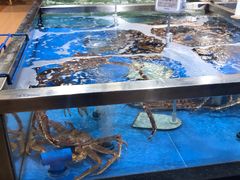 水产区-七鲜超市(万向城店)