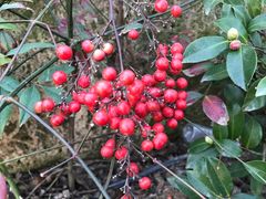 -漩门湾国家湿地公园