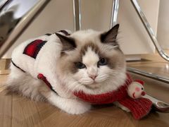 -YESUS椰稣咖啡概念店