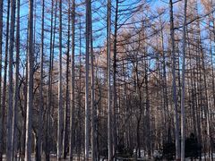 -长春净月潭风景名胜区
