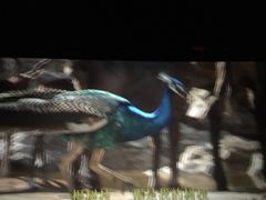 -橙天嘉禾影城(苏州印象城店)