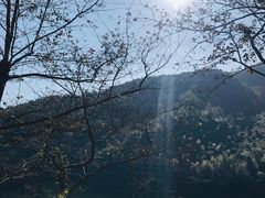 -宁波五龙潭景区