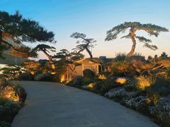 -罗红摄影艺术馆