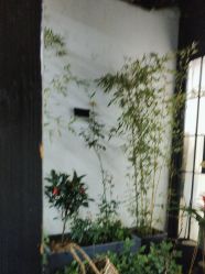 -与苏记•苏式美学汉服体验馆