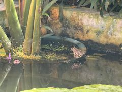 -国家植物园南园