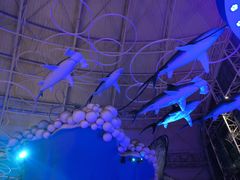 -烟台海昌鲸鲨海洋公园