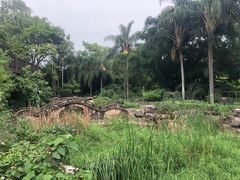 -广西壮族自治区药用植物园