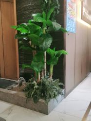 -芳朵美容养生SPA