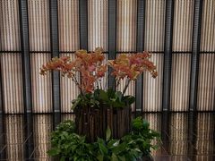 -上海璞麗酒店