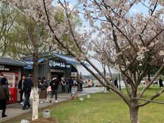 -Beans Solo豆号咖啡(百家湖花园店)