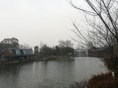 -成飞公园