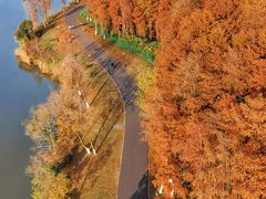 -金银湖国家城市湿地公园