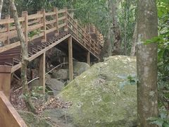 -霸王岭国家森林公园