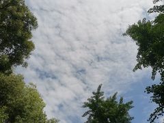 -成都南湖公园