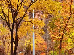 -湖洞水自然风景区