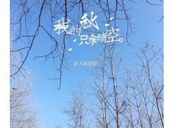 -合肥滨湖国家森林公园