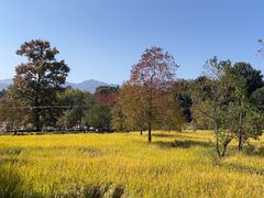 -塔川景区