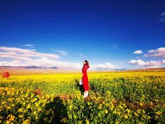 -青海湖国家重点风景名胜区