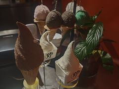 -野人先生现做冰淇淋(北京王府井东方新天地店)