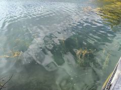 -清溪水库
