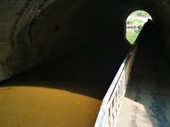 -白水寺森林公园