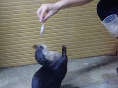 -太平洋海底世界