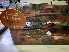 -中国湿地博物馆
