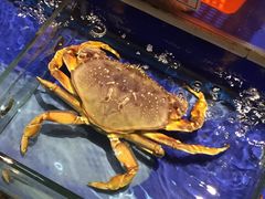 -海鲜城大家餐厅