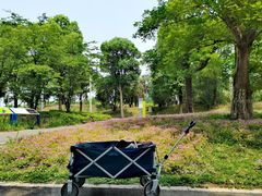 -白鹭湾湿地公园