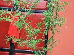 -成都市文殊院