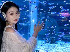 -海合安成都极地海洋公园