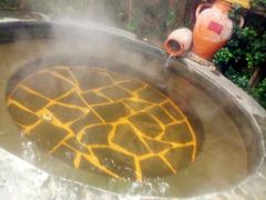 -仁爱团泊湖温泉中心