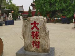 -大槐树寻根祭祖园