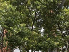 -昆明中心皇冠假日酒店