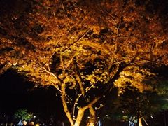 iphone_upload_pic-阳澄湖费尔蒙酒店