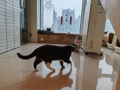 -Catmate·猫肥家润(金润铂宫店)