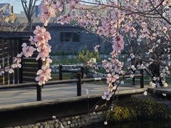 -三里河公园