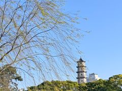 -江心屿景区